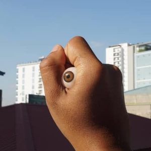 Meet your Posher, Albert